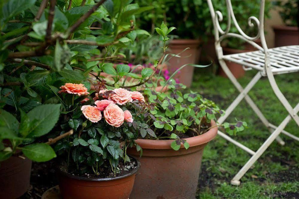 Il Relais Dell'Abbazia Bed and Breakfast Verona Buitenkant foto